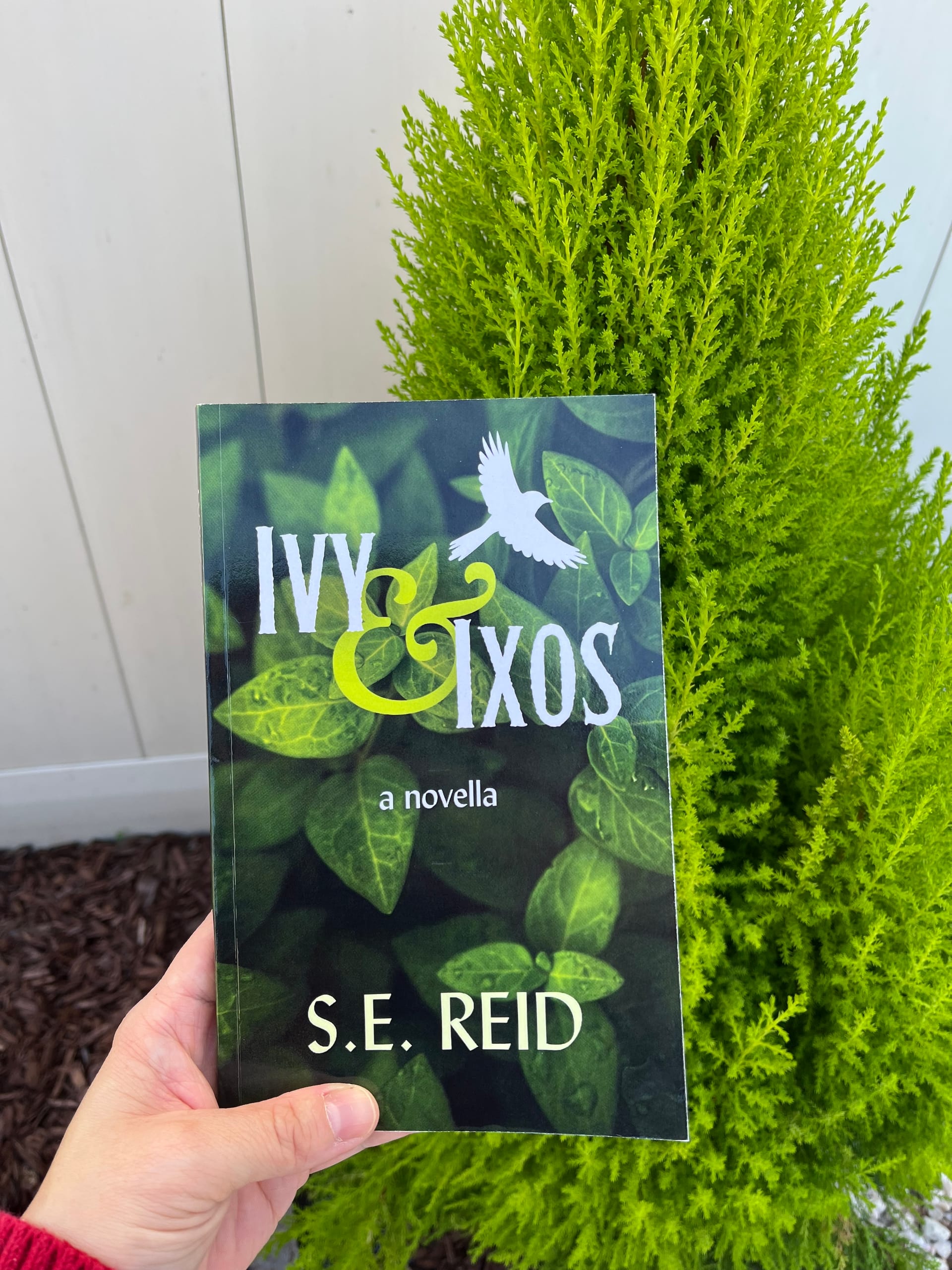 Ivy & Ixos by S.E. Reid review