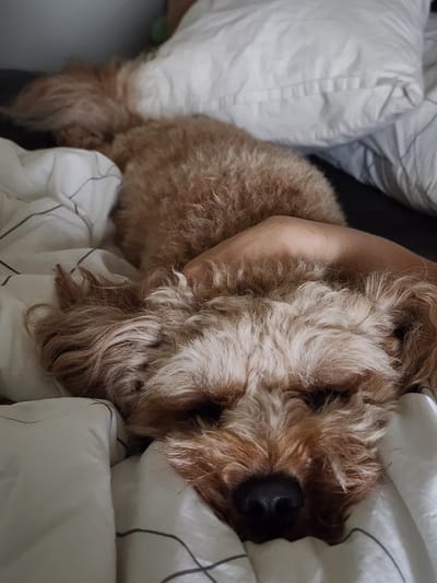 Have some Kobi smoosh for your first day of August.